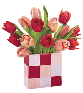 tulips bouquet philippines