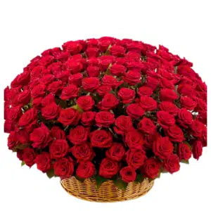 150 Red Rose In A Basket