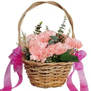 Pink Carnation In Basket