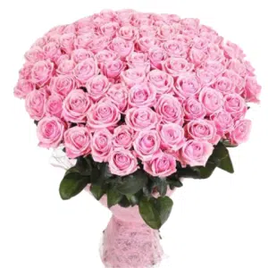 100 Pink Roses