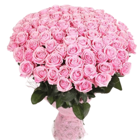 Send flowers to Philippines, Flower delivery Philippines, Send roses to Philippines Flower shop Philippines 100 Pink Roses