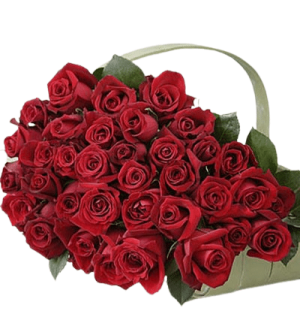 36pcs Red Roses Bouquet