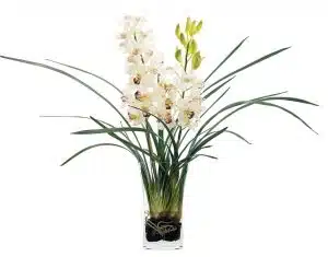 Cymbidium Bouquet In Vase