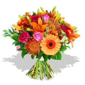 Bright and Beautiful