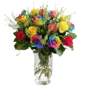 imported rainbow roses to philippines