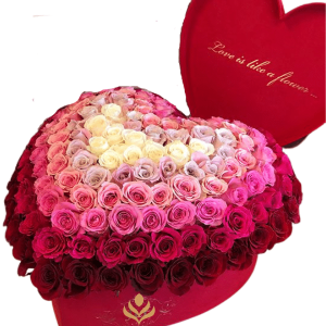 send flower isabela