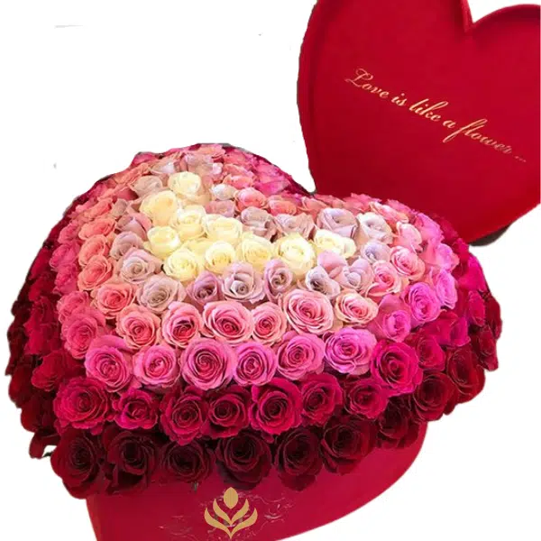 send flower isabela