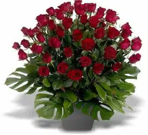 100 Red Rose Arrangement
