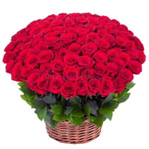 7 Dozen Red Roses In Basket