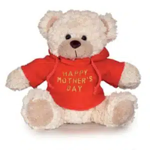 Barclay Bear Gift