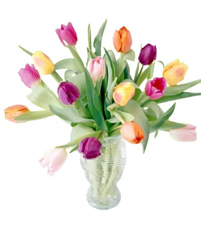 Send flowers to Philippines, Flower delivery Philippines, Send roses to Philippines Flower shop Philippines winning collection