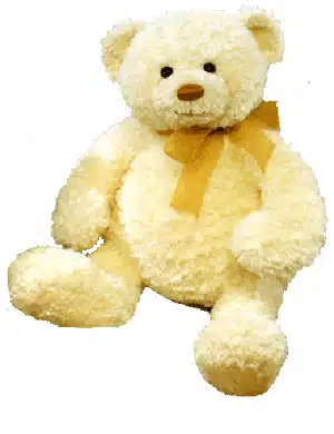 Creamy Vanilla color Teddy