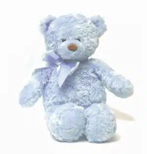 Squishy Teddy Bear