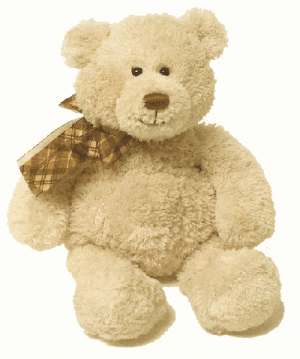 Cute Teddy