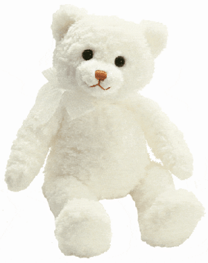 Happy Teddy