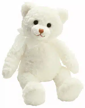 Happy Teddy