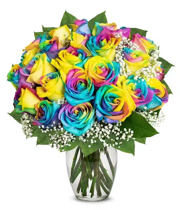 Rainbow Roses Philippines