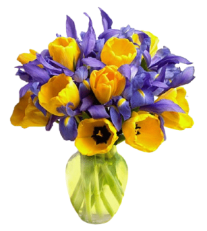 tulips bouquet to philippines