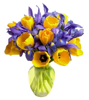 tulips bouquet to philippines