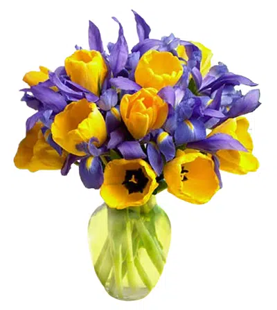 tulips bouquet to philippines