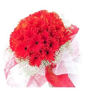 Classic Red Gerbera Daisy Bouquet