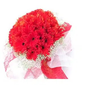Classic Red Gerbera Daisy Bouquet