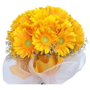Bright Yellow Gerbera Bouquet