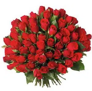 60pcs Red Roses Bouquet