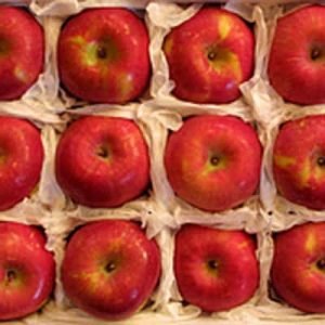 Fuji Apple Gift Box