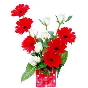 Mixed Gerberas in a Vase