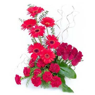 Send flowers to Philippines, Flower delivery Philippines, Send roses to Philippines Flower shop Philippines Gerbera, Carnation and Rose Combo