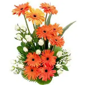 Orange Bloom