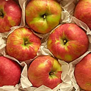 Honeycrisp Apple Gift Box