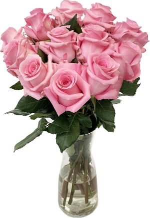 Pink Ecuadorian Rose in A Vase