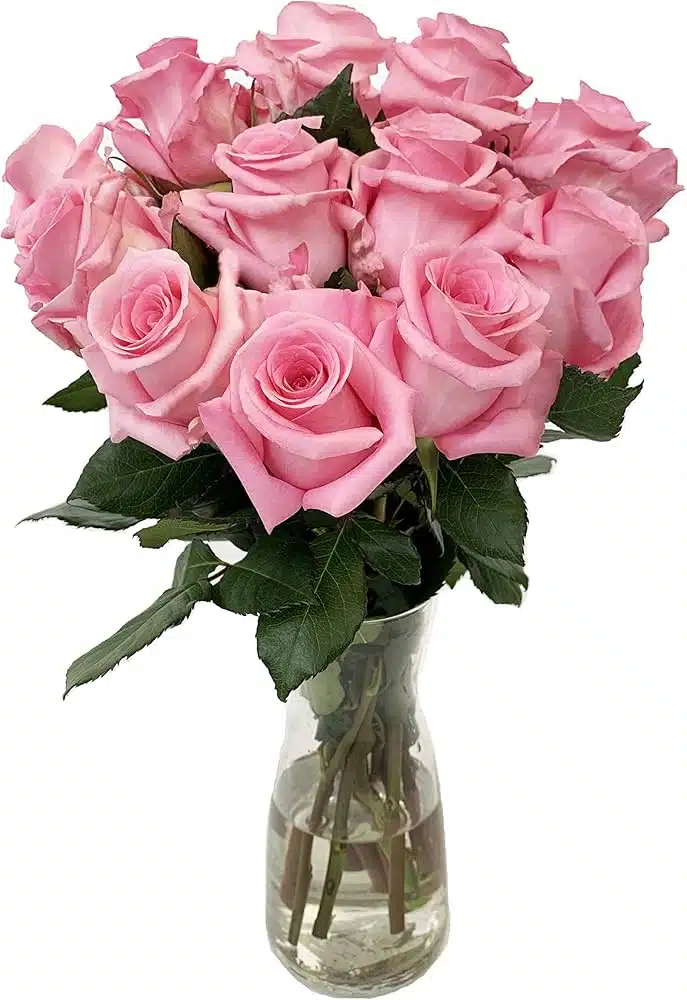 Send flowers to Philippines, Flower delivery Philippines, Send roses to Philippines Flower shop Philippines Pink Ecuadorian Rose in A Vase