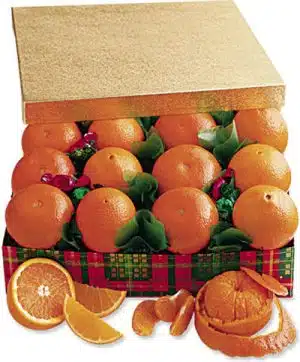 Juicy Oranges Gift Box