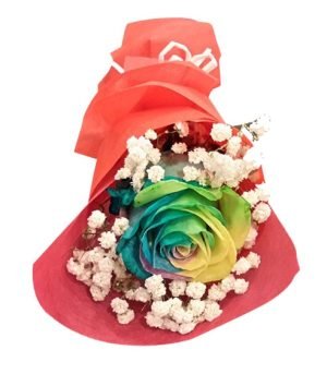 imported rainbow roses to philippines