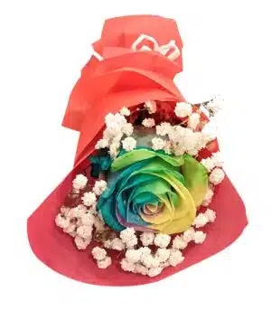 imported rainbow roses to philippines