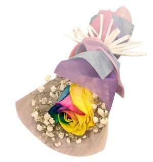 imported rainbow roses to philippines