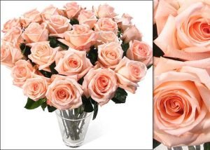 Engagement Ecuadorian Roses In Vase