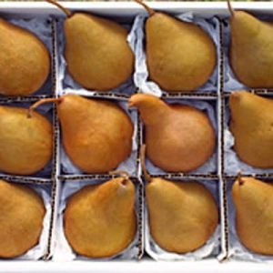 Premium Fruits in a Box
