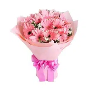 Gerbera Cheer Bouquet