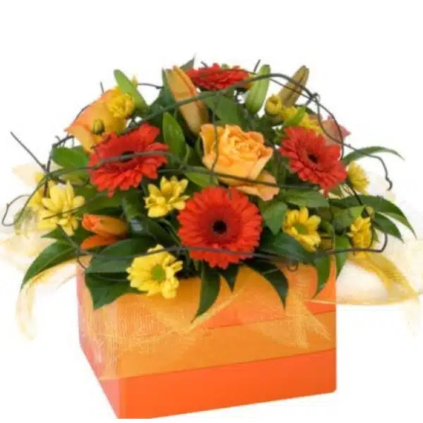 Mixed flower collection