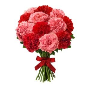 Carnation Bouquet