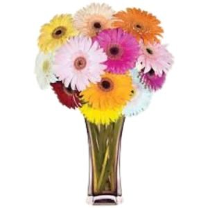 Gerberas Flower Vase