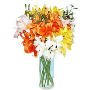 Mixed Lilies