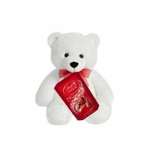 Teddy with Chocolate