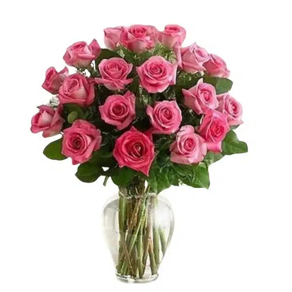 2 Dozen Long Stem Pink Rose