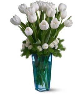 Winter White Tulips
