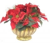 Holiday Living Poinsettia in Gold Ceramic Pot